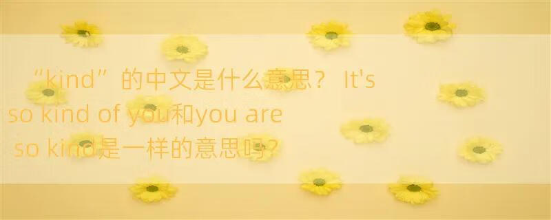 “kind”的中文是什么意思？ It's so kind of you和you are so kind是一样的意思吗？