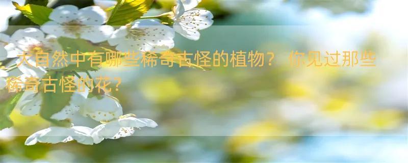 大自然中有哪些稀奇古怪的植物？ 你见过那些稀奇古怪的花？