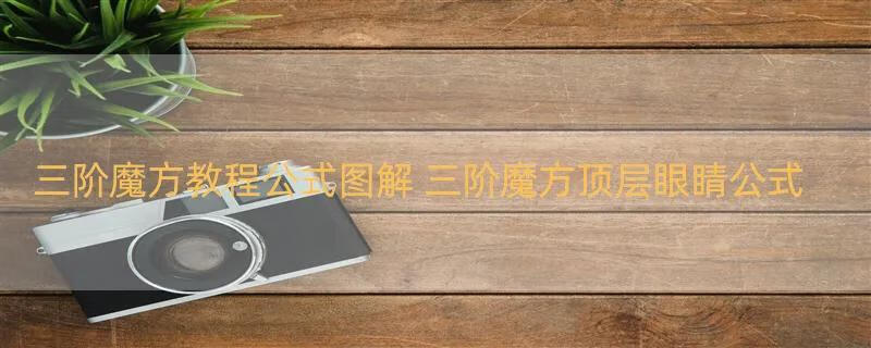 三阶魔方教程公式图解 三阶魔方顶层眼睛公式