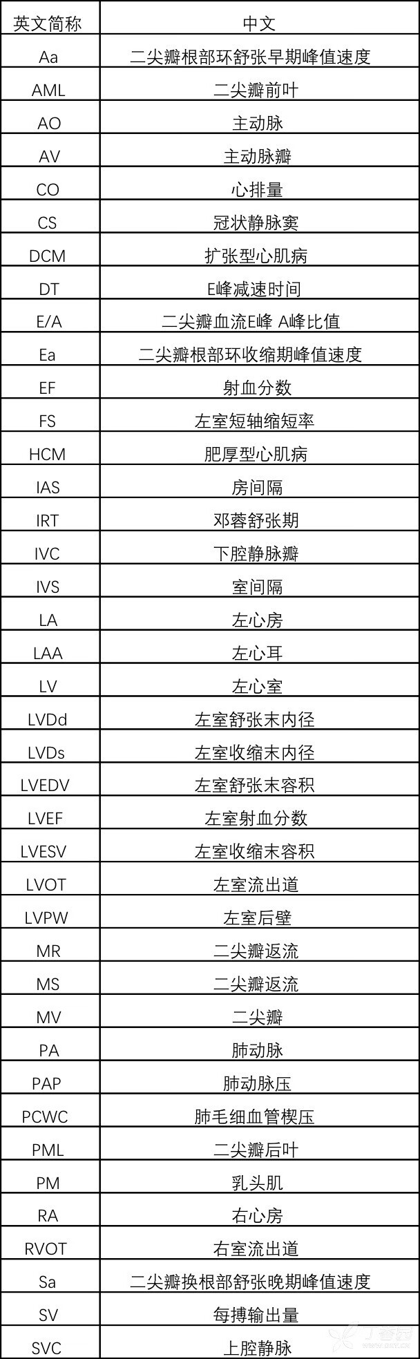 心脏超声报告的中英文对照表.jpg