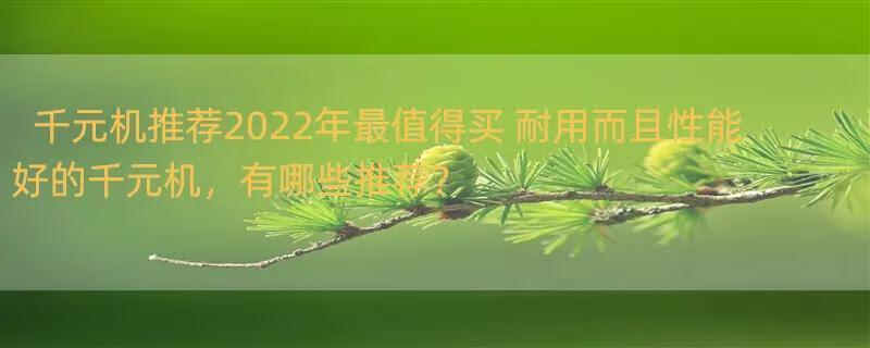 千元机推荐2022年最值得买 耐用而且性能好的千元机，有哪些推荐？