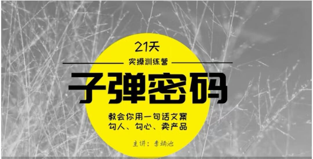 李炳池-21天《子弹秘密》训练营 21天学到顶尖文案大师的策略和技巧