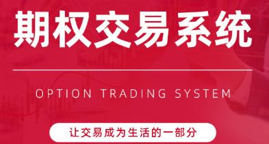 陈凯期权交易系统
