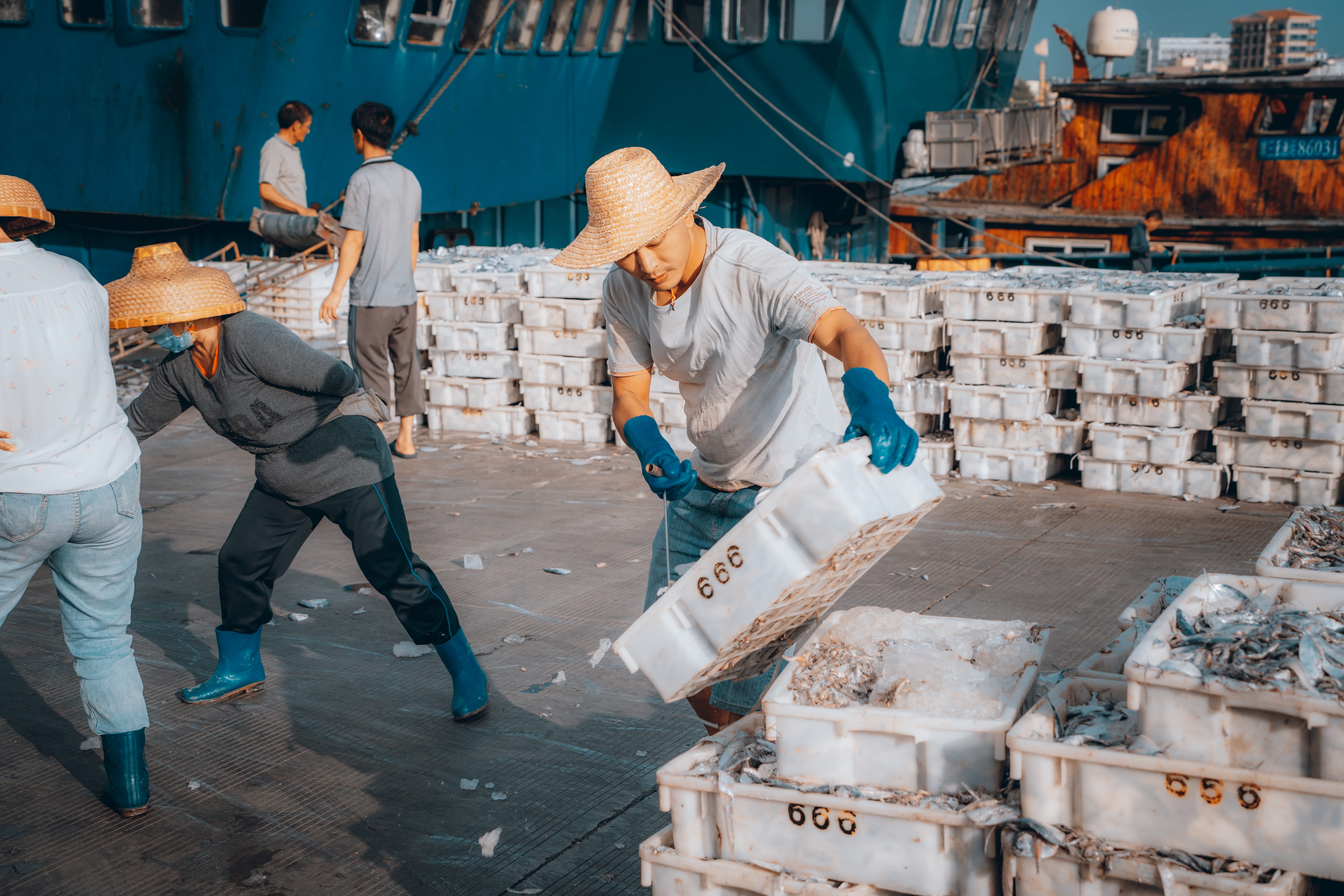 点击可放大观看