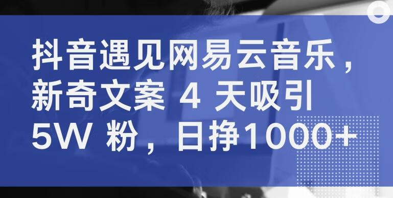 抖音遇见网易云音乐，新奇文案 4 天吸引 5W 粉，日挣1000+【揭秘】