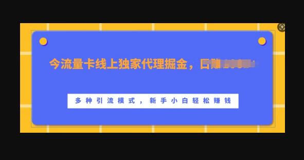 流量卡线上独家代理掘金，日入1k+ ，多种引流模式，新手小白轻松上手-666资源网