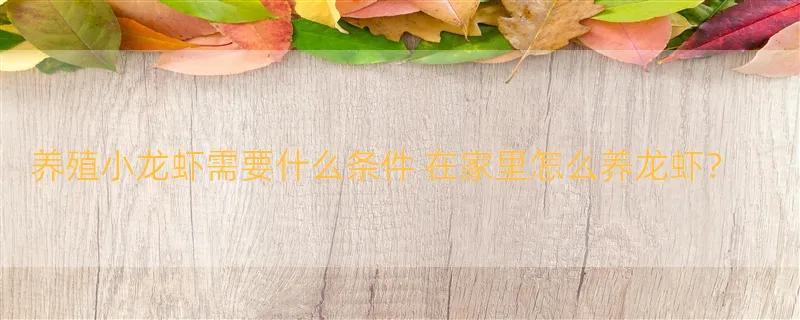 养殖小龙虾需要什么条件 在家里怎么养龙虾？