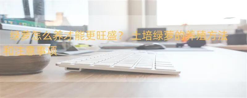 绿萝怎么养才能更旺盛？ 土培绿萝的养殖方法和注意事项