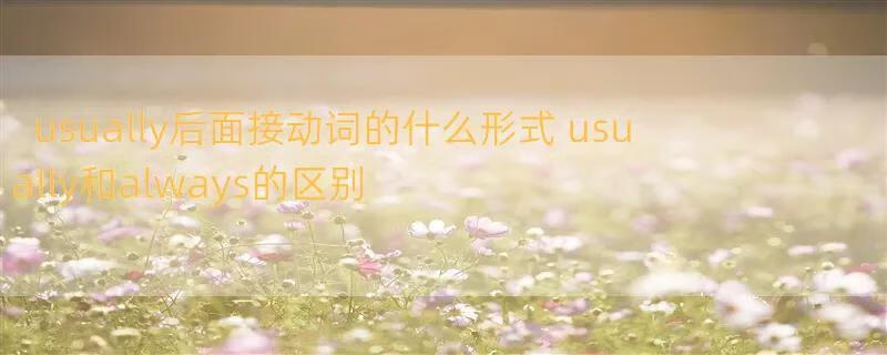 usually后面接动词的什么形式 usually和always的区别