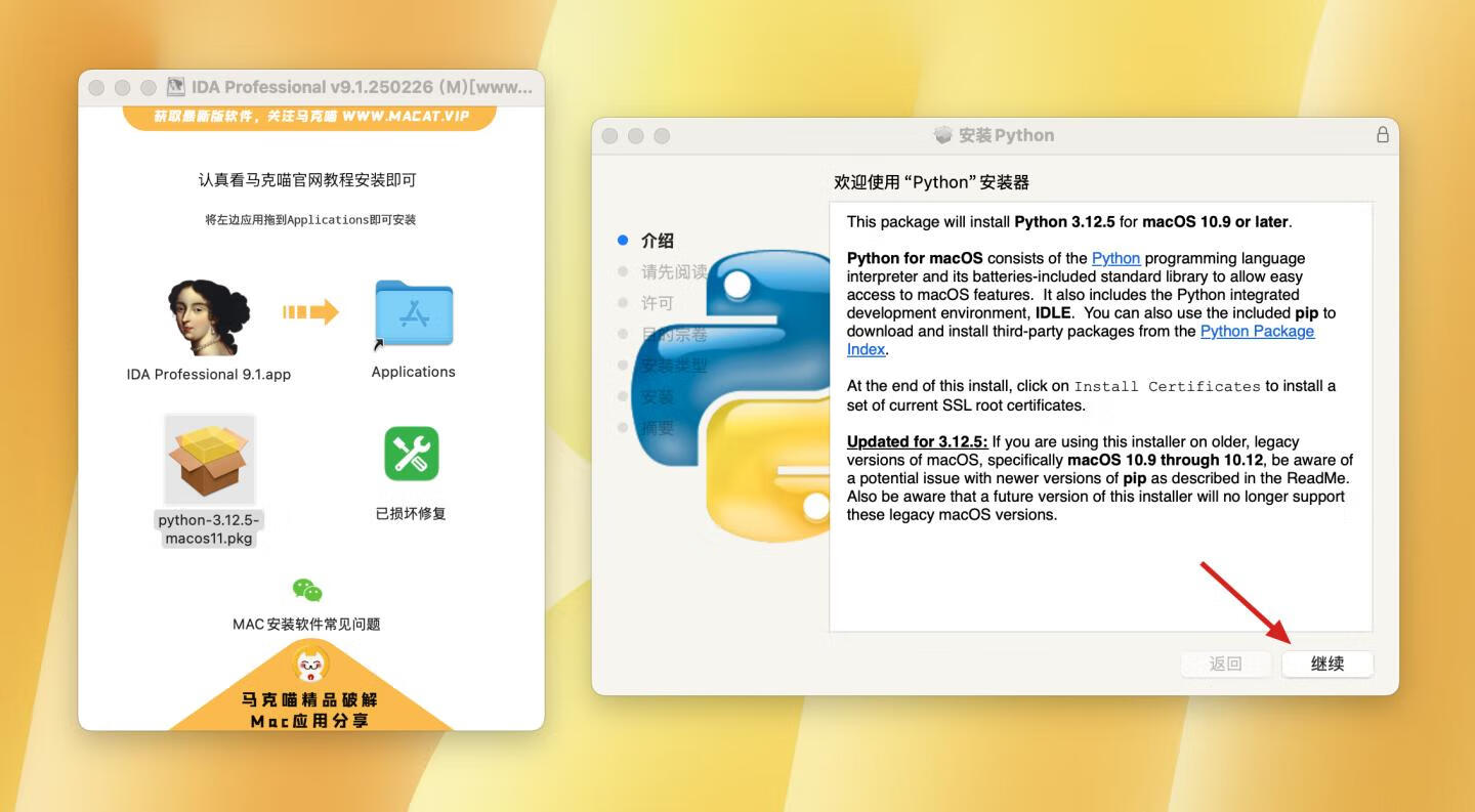 IDA Professional for mac v9.1.250226 英文版 反汇编逆向神器