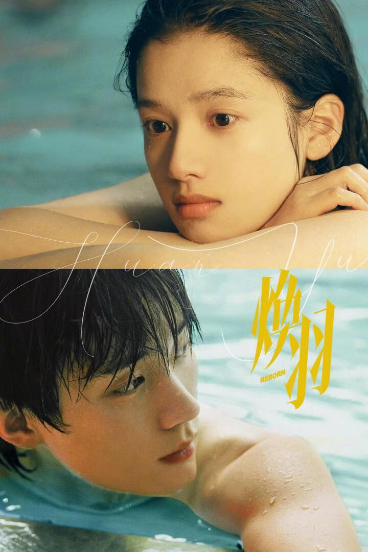 焕羽(2025)全23集