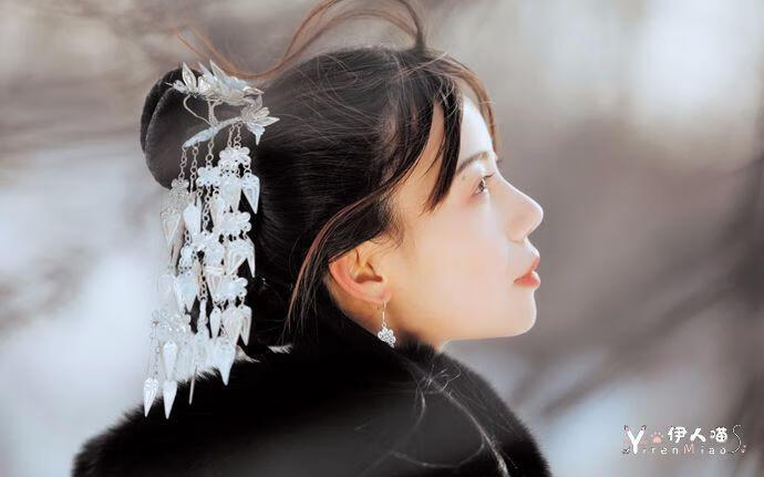 国风圈音乐才女 银临 (1).jpg