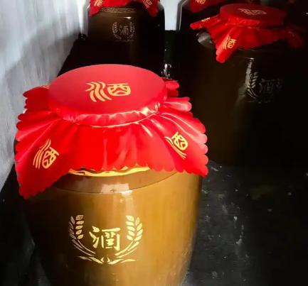 各种酿酒教程 视频+pdf-稀缺资源网