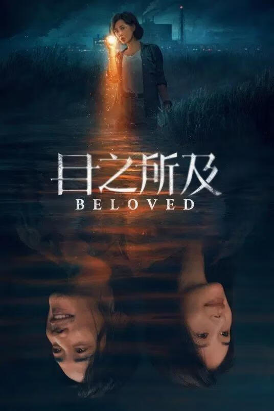 目之所及(2025)全16集