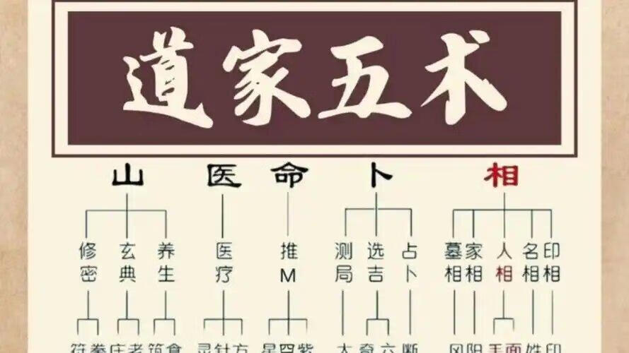 揭秘古代帝王之术！“山医命卜相”完整版教程首次公开，文化自媒体人必看！