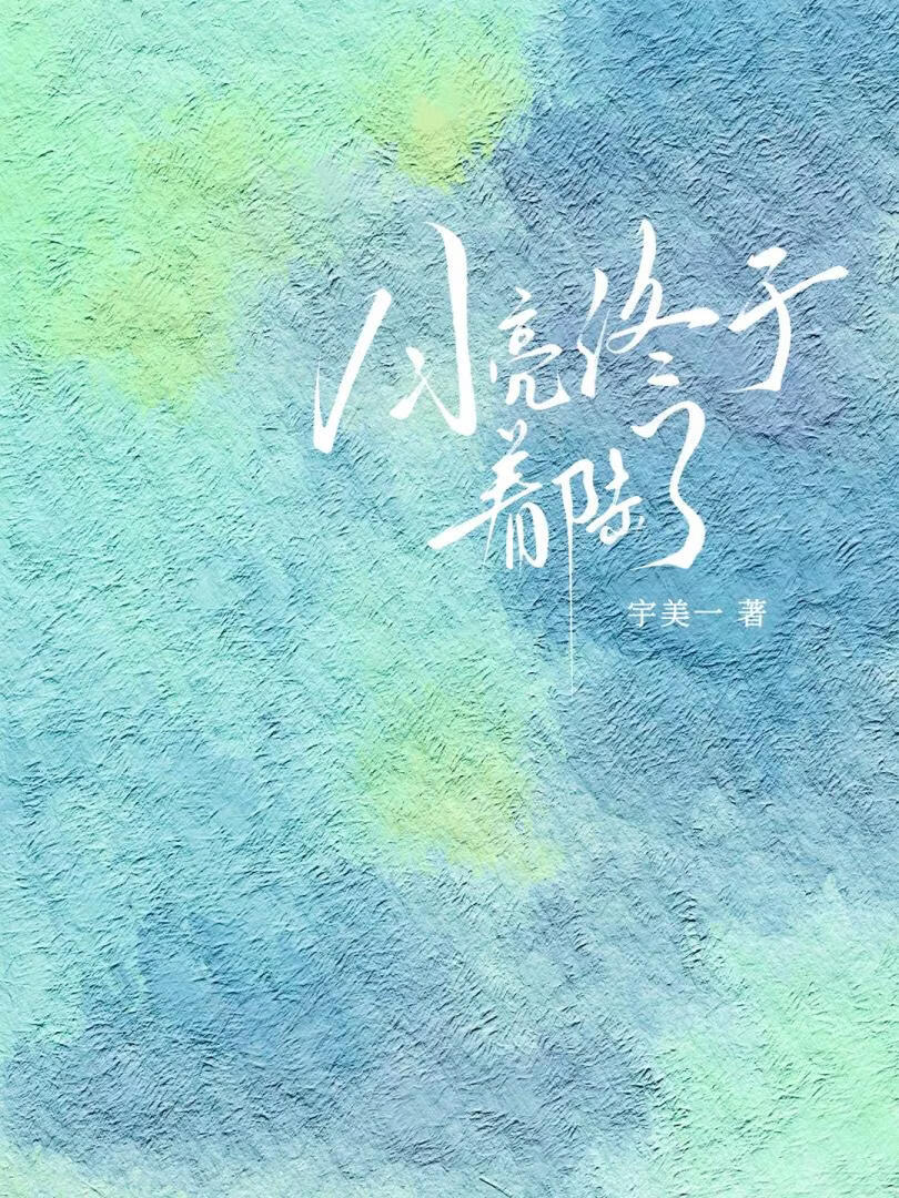 月亮终于着陆了