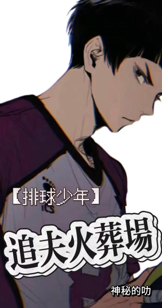 【排球少年】追夫火葬场