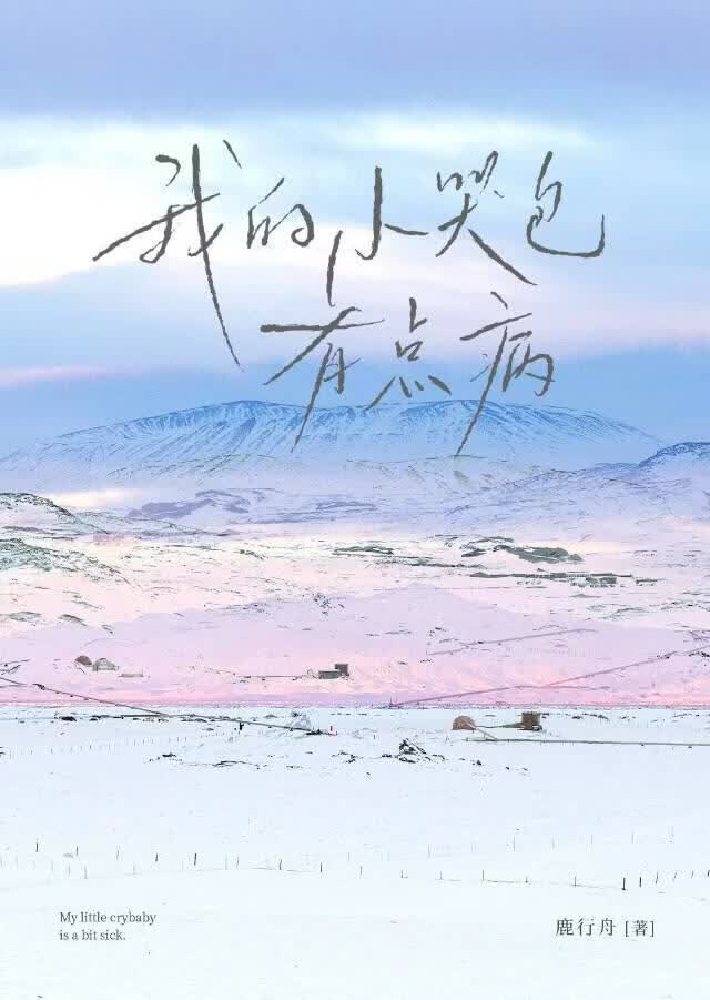 我的小哭包有点病