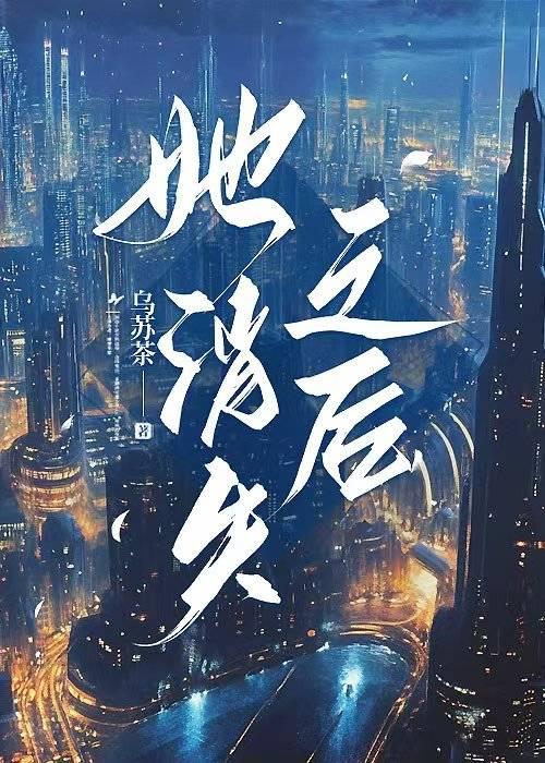 她消失之后 封面