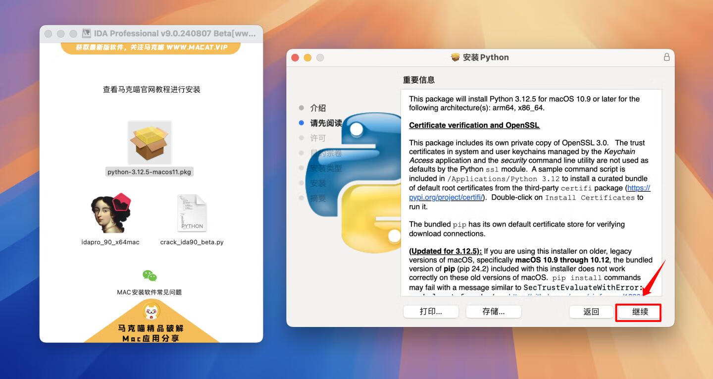 IDA Professional for mac v9.0.240807 Beta版 反汇编逆向神器