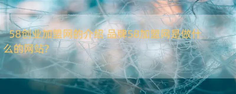 58创业加盟网的介绍 品牌58加盟网是做什么的网站?