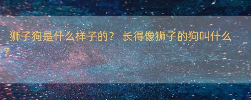 狮子狗是什么样子的？ 长得像狮子的狗叫什么？