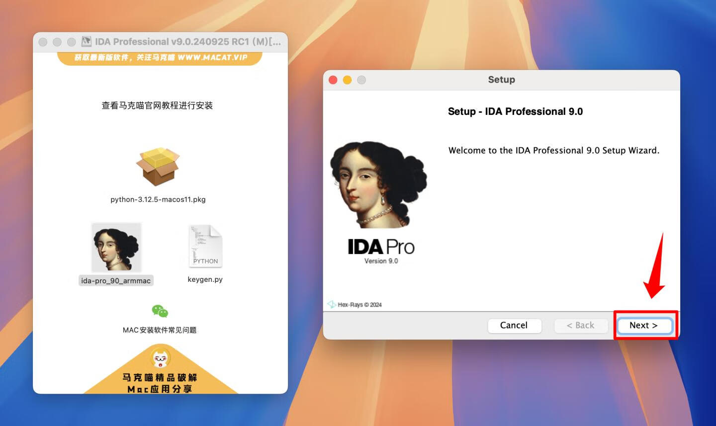 IDA Professional for mac v9.0.240925 RC1英文版 反汇编逆向神器