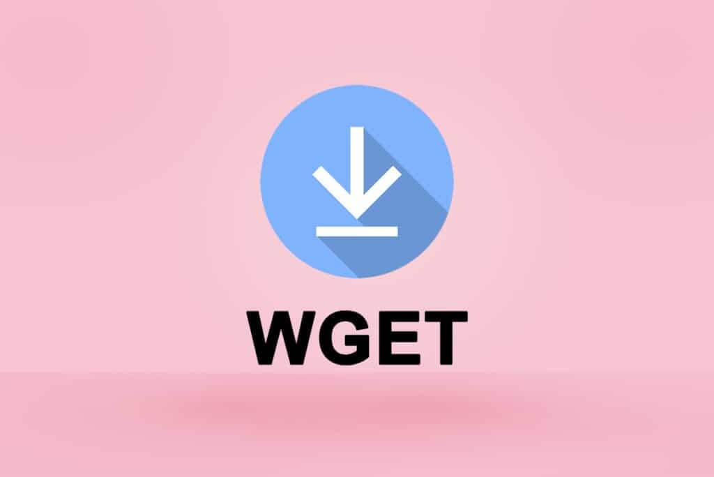 wget 批量下载