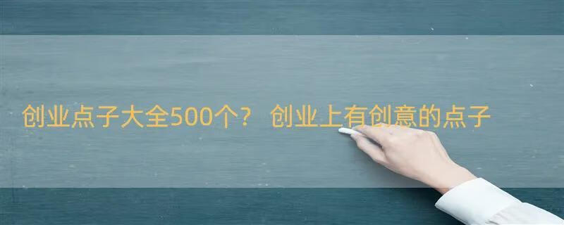 创业点子大全500个？ 创业上有创意的点子