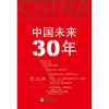 

中国未来30年