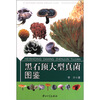 

黑石顶大型真菌图鉴