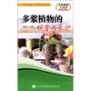 

多浆植物的观赏与养护