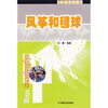 

风筝和毽球