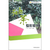 

油茶整形修剪