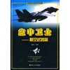 

空中卫士航空武器篇