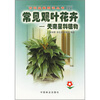 

常见观叶花卉：天南星科植物