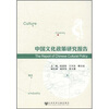 

中国文化政策研究报告