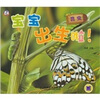 

宝宝出生啦昆虫