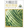 

大棚芸豆栽培答疑