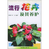 

流行花卉及其养护