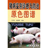 

猪病鉴别诊断与防治原色图谱