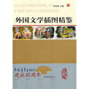 

外国文学插图精鉴