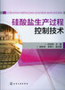 

硅酸盐生产过程控制技术