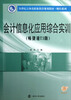 

21世纪立体化职业教育教材·财经系列：会计信息化应用综合实训（畅捷通T3版）（含光盘）