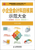 

小企业会计科目核算示范大全