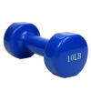 

Chengyue Baptist Dumbbell Male Ladies Dumbbells Bells 10 pounds of about 5 kg single loaded sports fitness equipment home CY-062