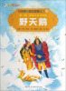 

彩绘世界经典童话全集24：野天鹅