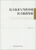 

民主技术与当代中国民主政治发展