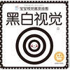

海润阳光·宝宝视觉激发挂图：黑白视觉1