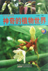 

青少年通才读本：神奇的植物世界